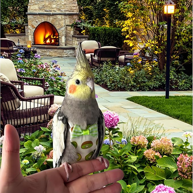 2Pcs Bird Diapers Bird Harness Flight Suits Diapers with 2Pcs 80 Inch Flying Leash Parrot Nappy Pigeon Pants Urine Wet Suit Costume for Cockatiel Conure Macaw Budgies Parakeet-Kiwi&Banana
