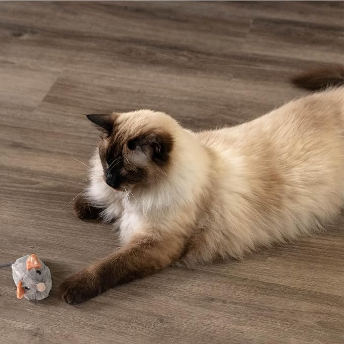 Catstages Squeak Squeak Mouse Cat Toy with Touch-Activated Sound & Catnip, Gray