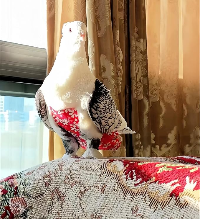 2 Pcs Bird Diapers Bird Harness Flight Suits Diapers with 80in Flying Leash Reusable Parrot Nappy with Waterproof Inner Layer for Cockatiel Budgie Conure Parakeet Lovebird-Red&White