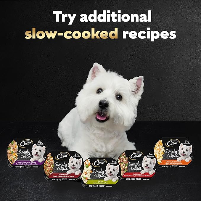 Cesar Simply Crafted Wet Dog Food Toppers for Dry Food, Chicken, Carrots, Potatoes & Peas and Beef, Chicken, Purple Potatoes, Green Beans & Red Rice Variety Pack, 1.3 oz. Tubs, 8 Count (Pack of 2)