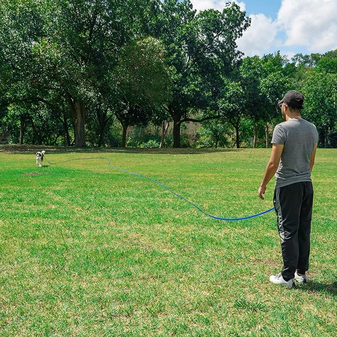 Hi Kiss Dog/Puppy Obedience Recall Training Agility Lead - 15ft 20ft 30ft 50ft 100ft Training Leash - Great for Training, Play, Camping, or Backyard (30 Feet, Green)