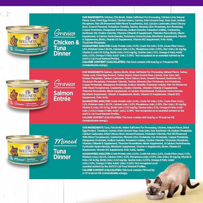 Wellness Complete Health Tasty Textures Gravy & Minced Adult Wet Cat Food, Natural, Protein-Rich, Grain Free, 3 Ounce, 12 Pack, (Salmon, Tuna, and Chicken Variety Pack)