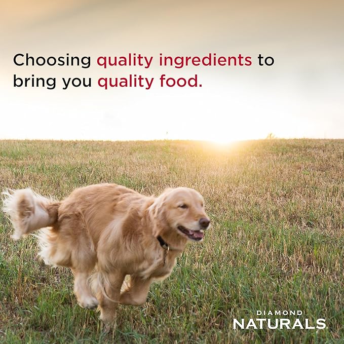 Diamond Naturals Large Breed Puppy 40 lb
