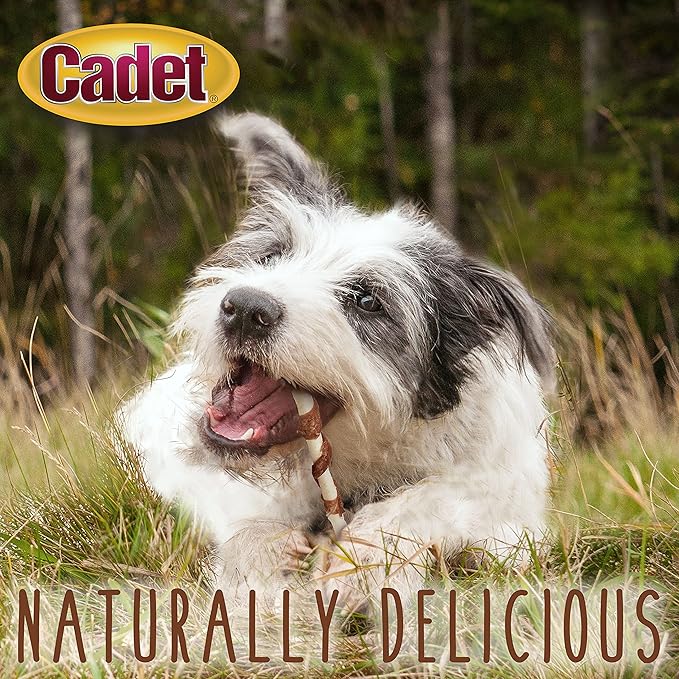 Cadet Gourmet Twists Sticks- Long Lasting & Natural Dog Treats for Large & Small Dogs Beef Hide & Duck - Inspected & Tested in USA (50 Count) (Pack of 2)