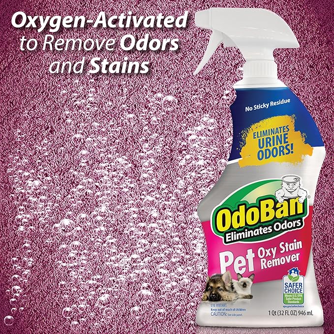 OdoBan Pet Solutions Oxy Stain Remover, Pet Stain Eliminator, 3-Pack, 32 Ounce Spray Each