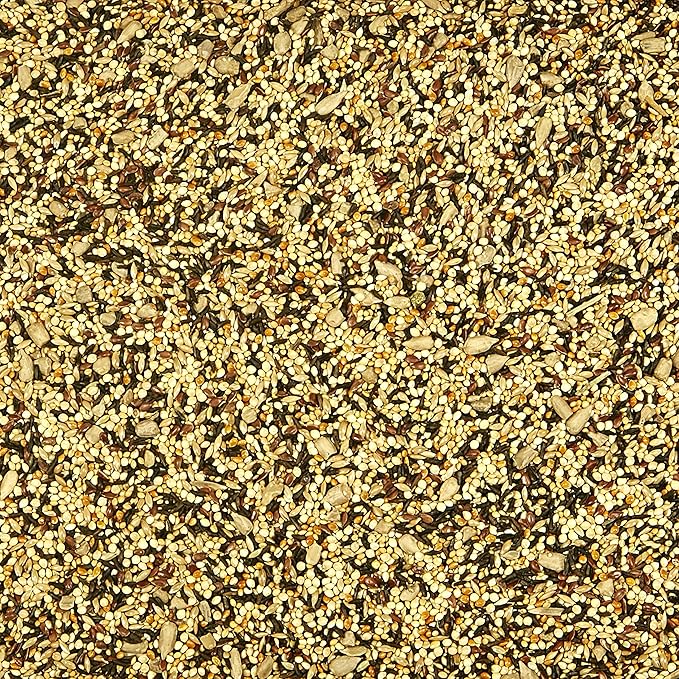 Kaytee Wild Bird Finch Food Blend,3 lb,(Pack of 2)